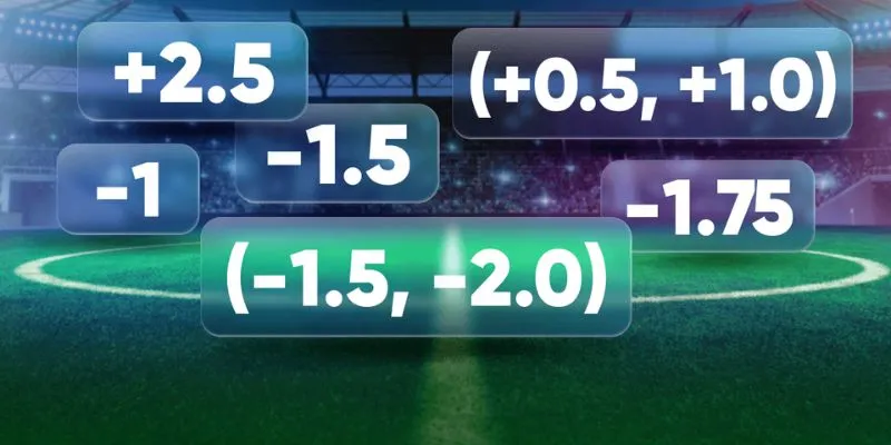 Thắng lớn với kèo châu Á: Hướng dẫn dành cho người mới 2 nhung-loai-keo-chau-a-nao-thuong-duoc-choi-nhat