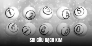 soi-cau-bach-kim